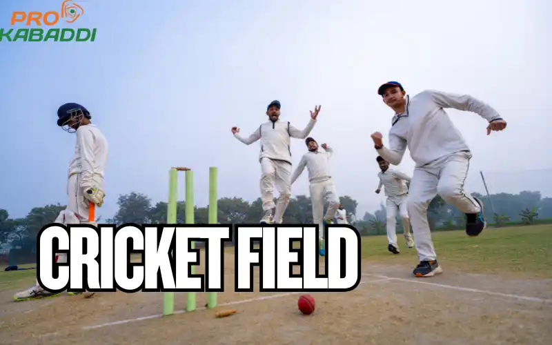 Cricket Field