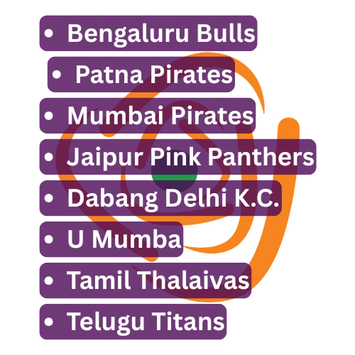 pro kabaddi 2024 our teams