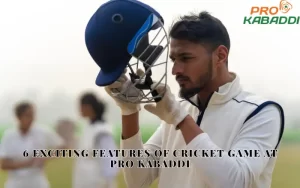 cricket game